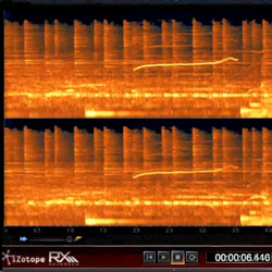 A Look At iZotope RX 2 Advanced